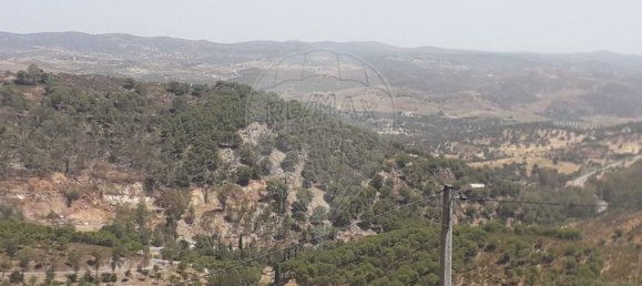 Дом с 1 спальней в Барранкуш, Португалия № 39871 19