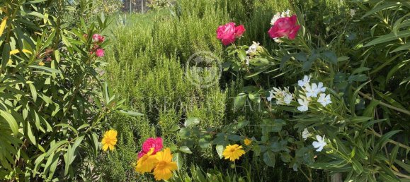 16 bedrooms Castles in Corciano, Italy No. 55856 15