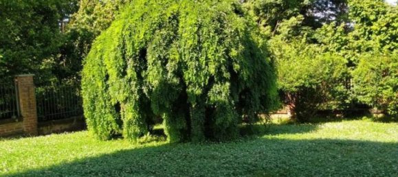 Вилла с 5 комнатами в Пино Торинезе, Италия № 27484 46