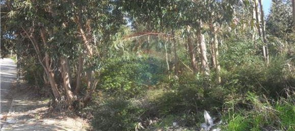 قطعة أرض في Fanzeres, Portugal 26314متر مربع رقم 38787 6