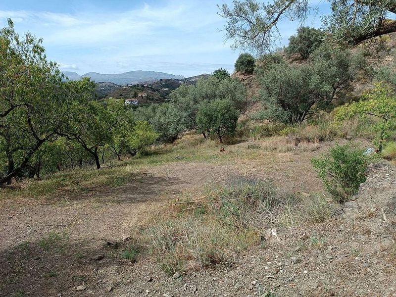 Grundstück in Canillas de Aceituno, Spain 3500m², Nr. 223311