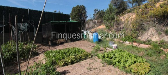 Дом с 5 спальнями в Льорет-де-Мар, Испания № 73871 13