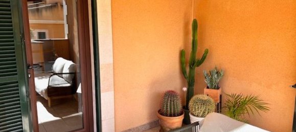 2 Schlafzimmer Penthouse in Mallorca, Spain, Nr. 168660 13