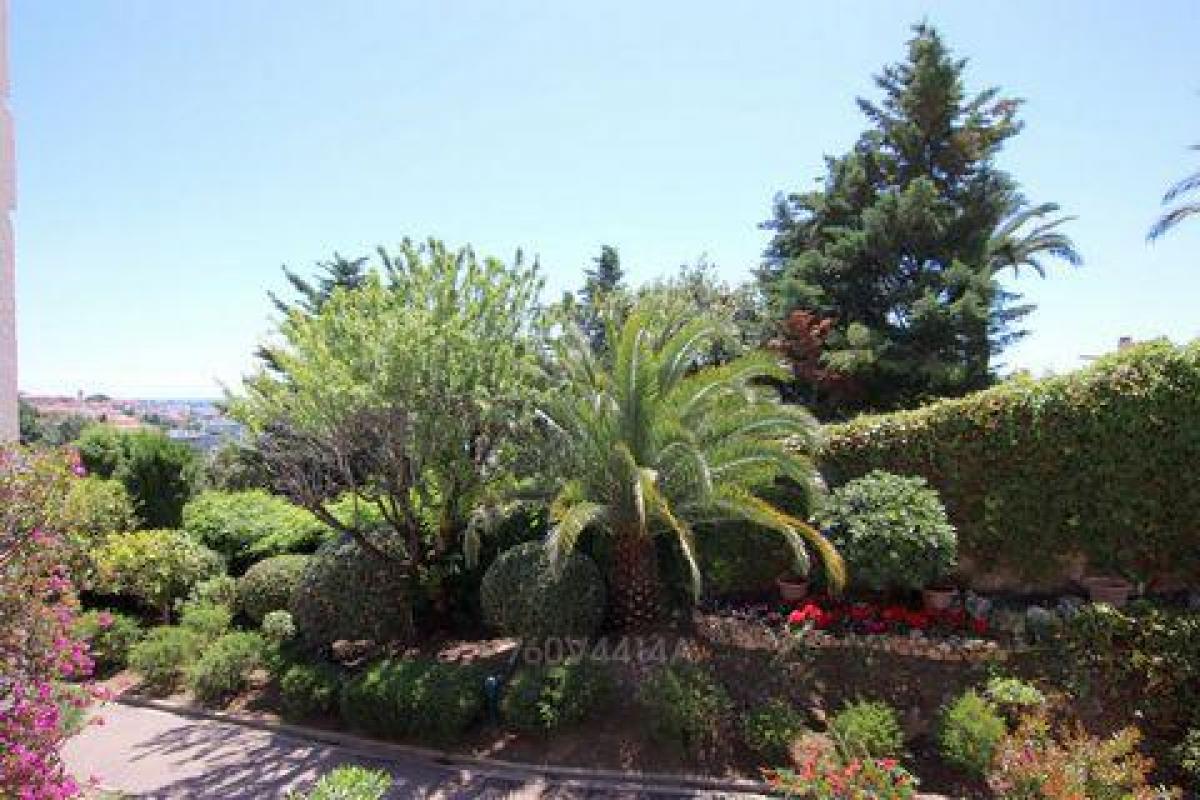 Studio-Eigentumswohnung in Cannes, France, Nr. 13788