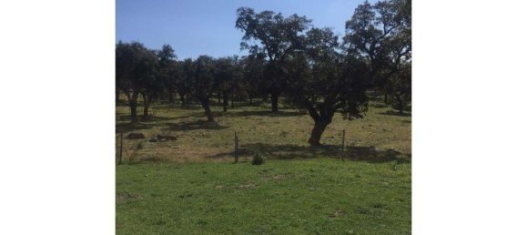 Casa T6 em Portalegre, Portugal N.º 136591 18