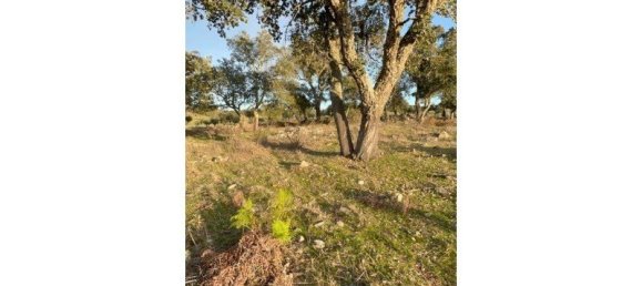 Casa T6 em Portalegre, Portugal N.º 136591 4