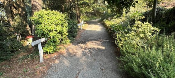 10-Zimmer Villa in Villaga, Italy, Nr. 70414 24