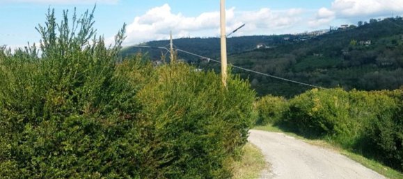 16800m² Land in Laureana Cilento, Italy No. 288271 4