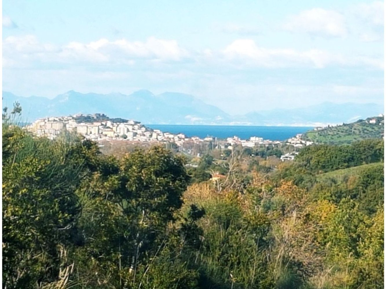 16800m² Land in Laureana Cilento, Italy No. 288271