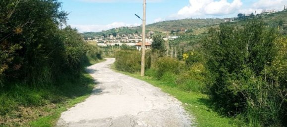 16800m² Land in Laureana Cilento, Italy No. 288271 2