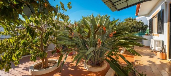 4 bedrooms House in Faro, Portugal No. 131467 15