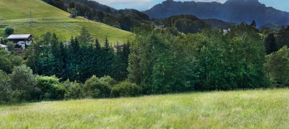 1117m² Land in Hallein, Austria No. 161122 3