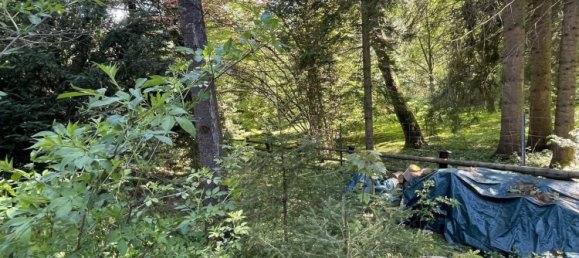 Дом с 5 комнатами в Шпиталь ам Земмеринг, Австрия № 147482 9