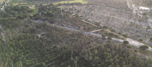 Terreno em Grândola, Portugal 41400 m² N.º 10139 15