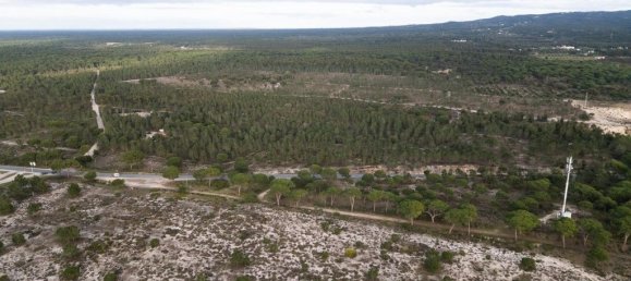 Terreno em Grândola, Portugal 41400 m² N.º 10139 3