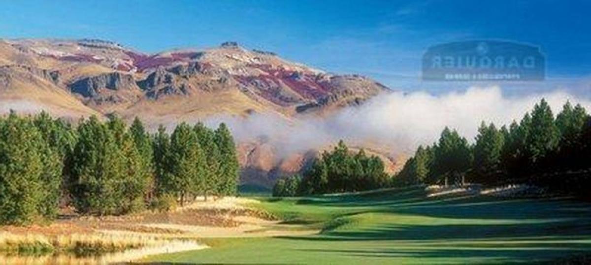 Земельный участок в Неукен, Аргентина № 43155