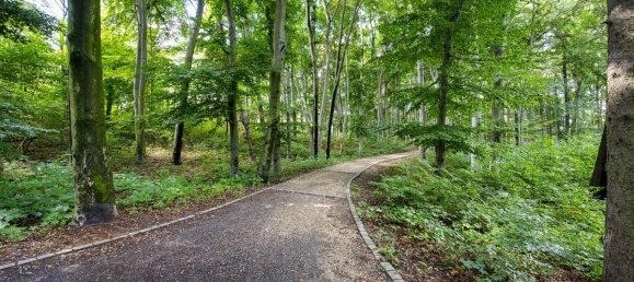 5غرفة شقة في Wedding, Germany رقم 9920 12