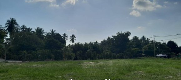  Commercial property in Surat Thani, Thailand No. 24887 8