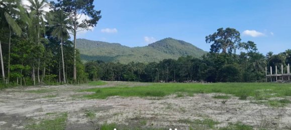  Commercial property in Surat Thani, Thailand No. 24887 3