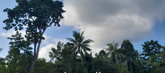  Commercial property in Surat Thani, Thailand No. 24887 7