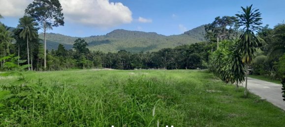  Commercial property in Surat Thani, Thailand No. 24887 6