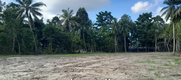  Commercial property in Surat Thani, Thailand No. 24887 10