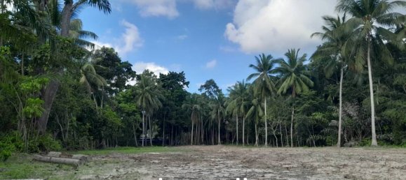  Commercial property in Surat Thani, Thailand No. 24887 9