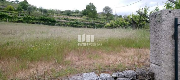 Grundstück in Baiao, Portugal 3800m², Nr. 57479 2