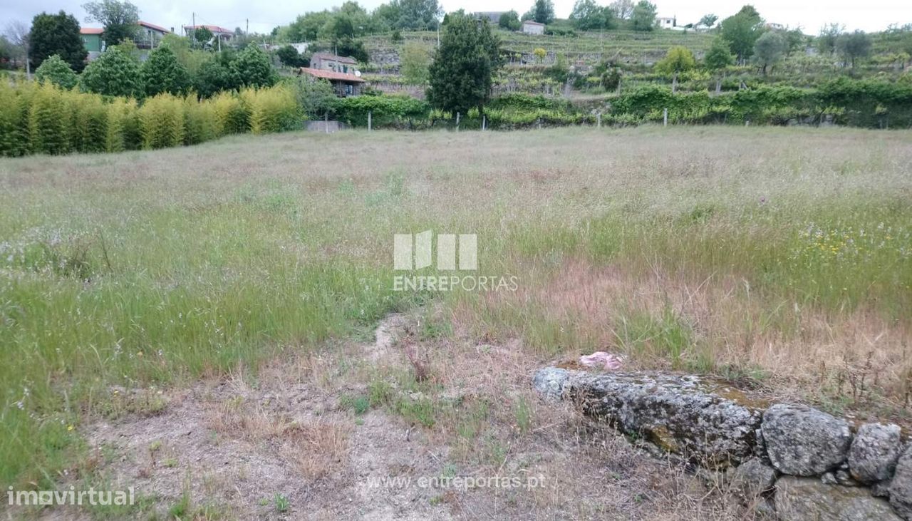 Grundstück in Baiao, Portugal 3800m², Nr. 57479