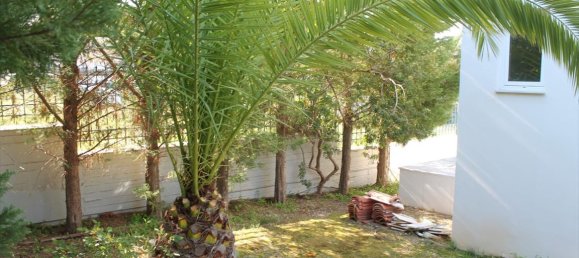 Propiedad comercial de 3 dormitorios en Kalyvia Thorikou, Greece No. 6330 14