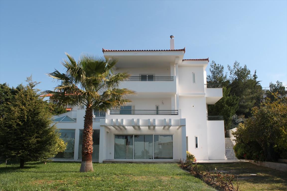 3 chambres propriété commerciale à vendre à Kalyvia Thorikou, Saronikos, East Attica, Attica, Greece № 6330