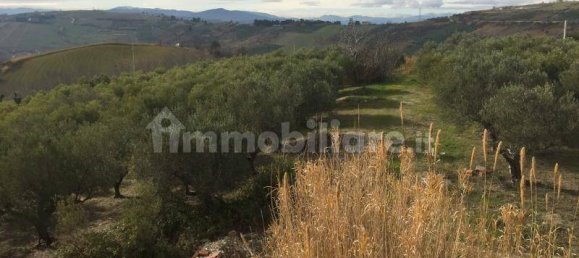 4 bedrooms Villa in Cupello, Italy No. 234705 31