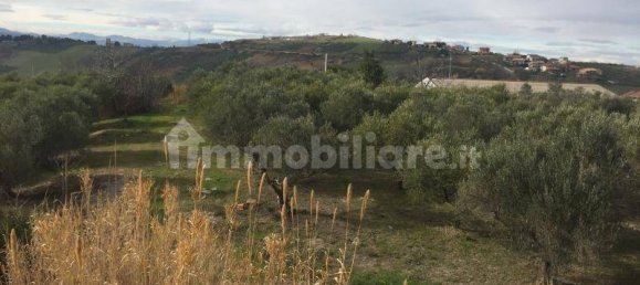 4 bedrooms Villa in Cupello, Italy No. 234705 32