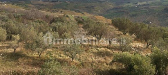 4 bedrooms Villa in Cupello, Italy No. 234705 15