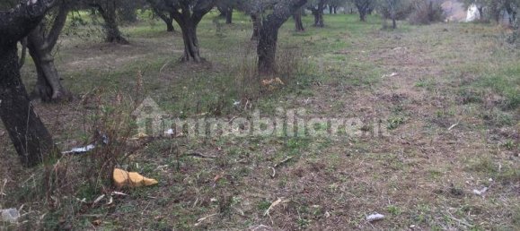 4 bedrooms Villa in Cupello, Italy No. 234705 3