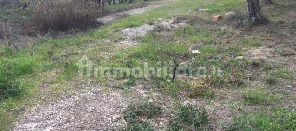 4 bedrooms Villa in Cupello, Italy No. 234705 5