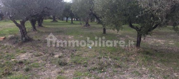 4 bedrooms Villa in Cupello, Italy No. 234705 6