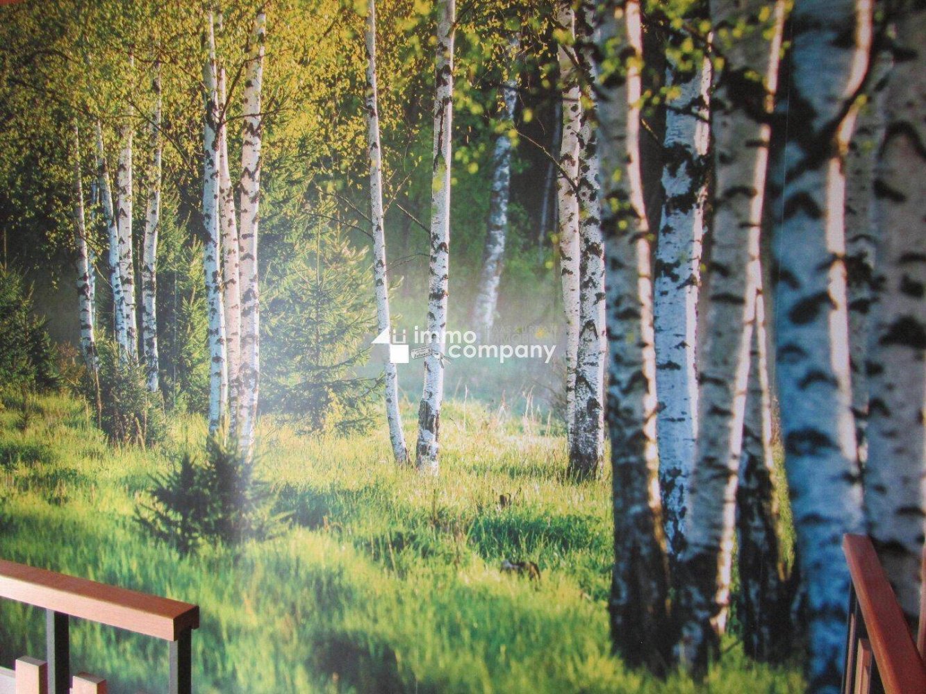 5 rooms House in St. Nikola an der Donau, Austria No. 18557