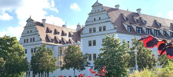 Apartamento de 1 dormitorio en Zwickau, Germany No. 225425 22