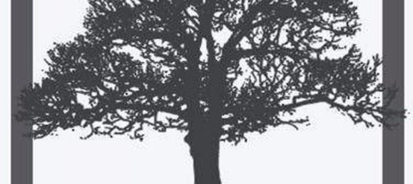 3 bedrooms Apartment in Nuevo Leon, Mexico No. 156910 2