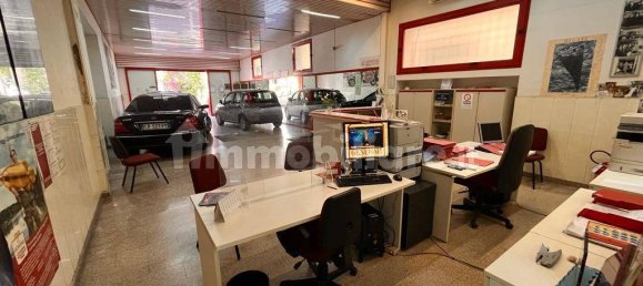 3-Zimmer Gewerbliche Immobilie in Anzio, Italy, Nr. 350353 7