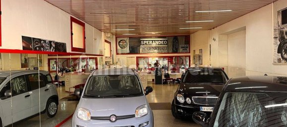 3-Zimmer Gewerbliche Immobilie in Anzio, Italy, Nr. 350353 12