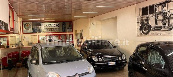 3-Zimmer Gewerbliche Immobilie in Anzio, Italy, Nr. 350353 15