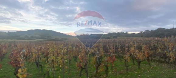 15582m² Land in Castiglione di Sicilia, Italy No. 152050 30