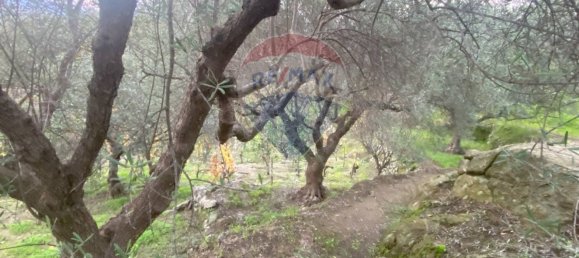 15582m² Land in Castiglione di Sicilia, Italy No. 152050 14