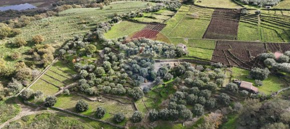 15582m² Land in Castiglione di Sicilia, Italy No. 152050 8