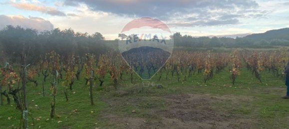 15582m² Land in Castiglione di Sicilia, Italy No. 152050 27