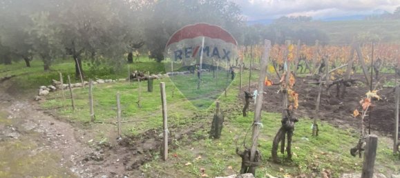 15582m² Land in Castiglione di Sicilia, Italy No. 152050 35