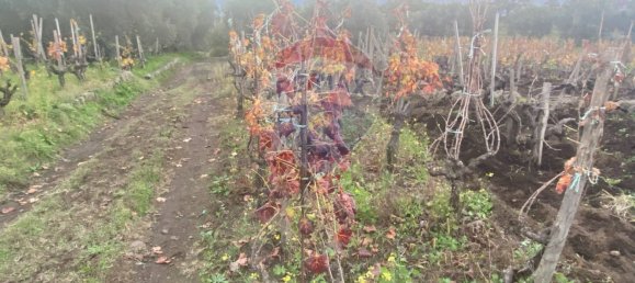 15582m² Land in Castiglione di Sicilia, Italy No. 152050 37