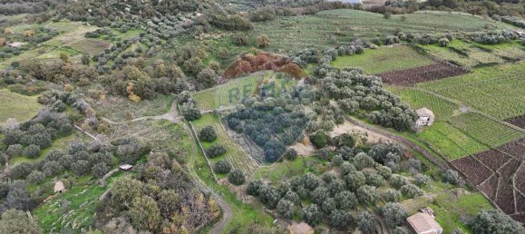 15582m² Land in Castiglione di Sicilia, Italy No. 152050 5